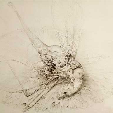 Polyák István festőművész képei